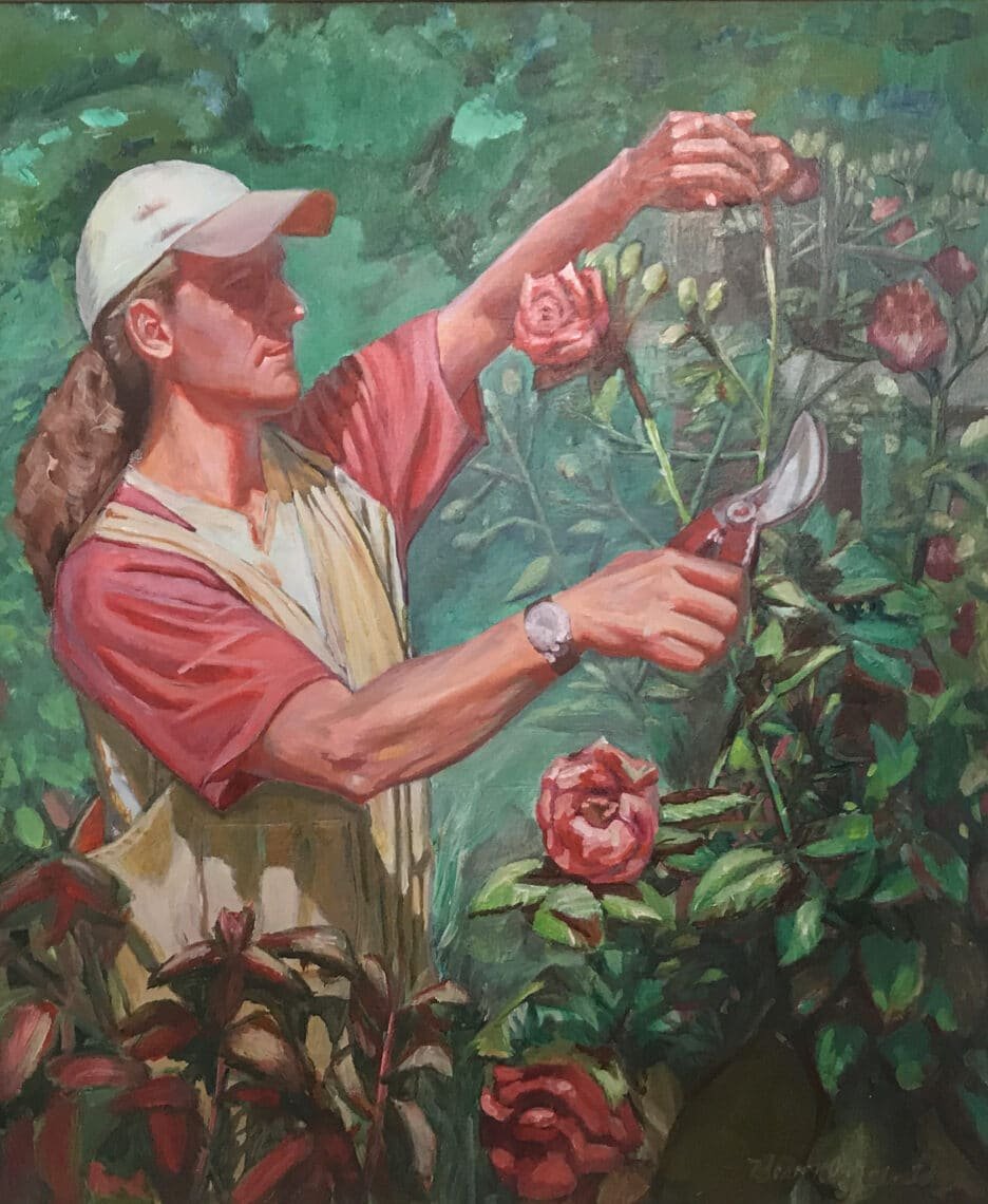 Keeper of the Roses, by Beverly Claridge. Rose gardener at Queens Park, Invercargill , NZ