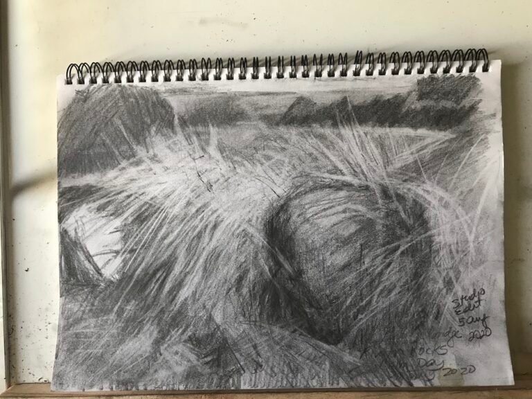 Tussock at Riverton Rocks